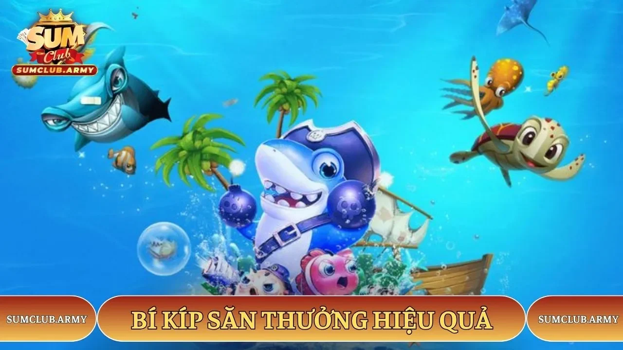 Bí kíp săn thưởng hiệu quả