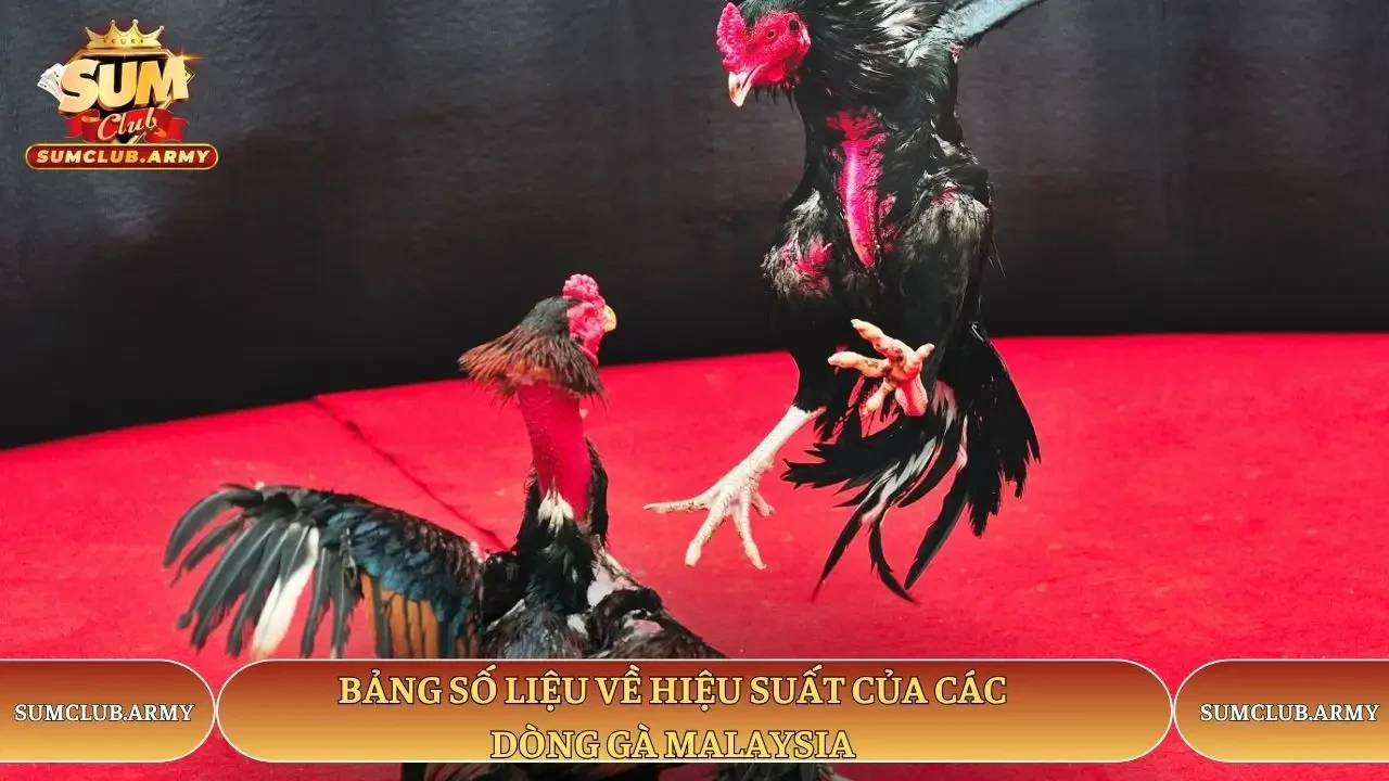 Bảng số liệu về hiệu suất của các dòng gà Malaysia
