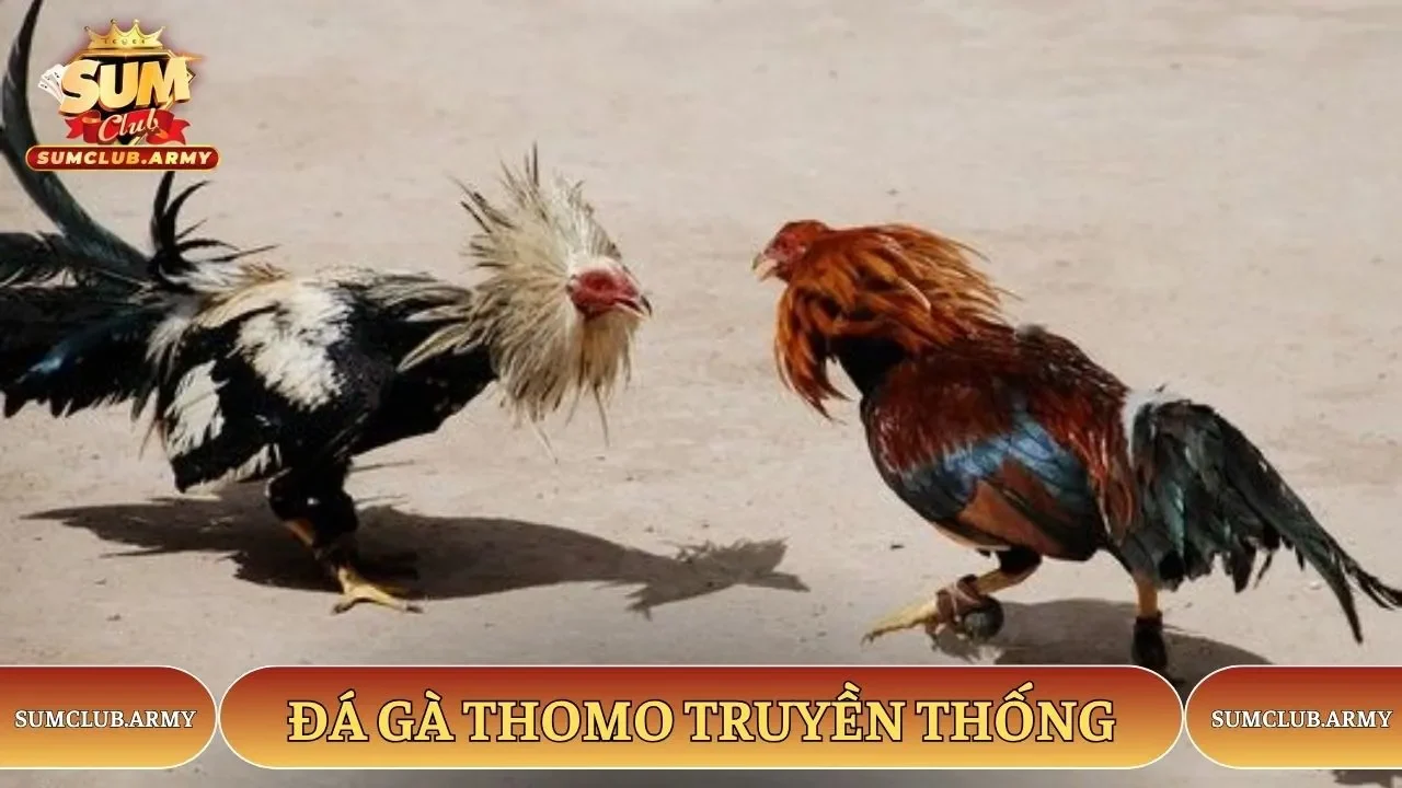 Hình thức thi đấu truyền thống