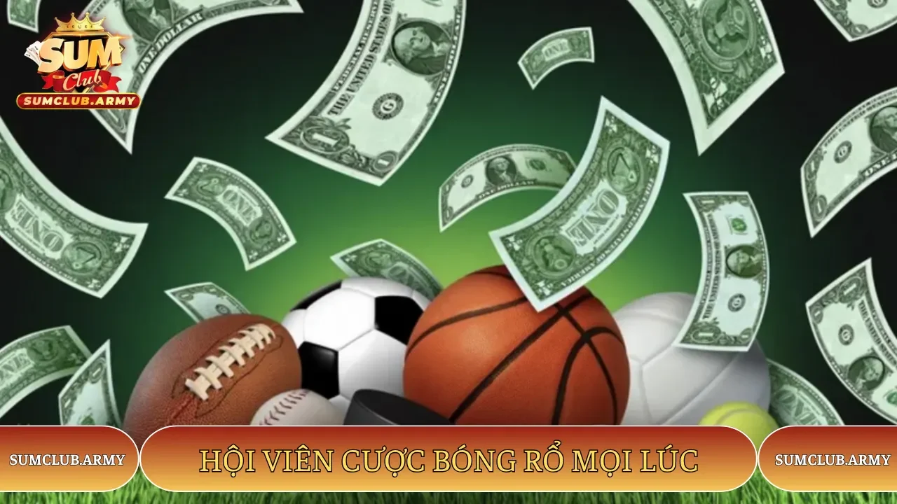 Hội viên cược bóng rổ mọi lúc