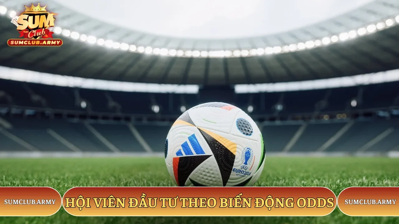Hội viên đầu tư theo biến động odds