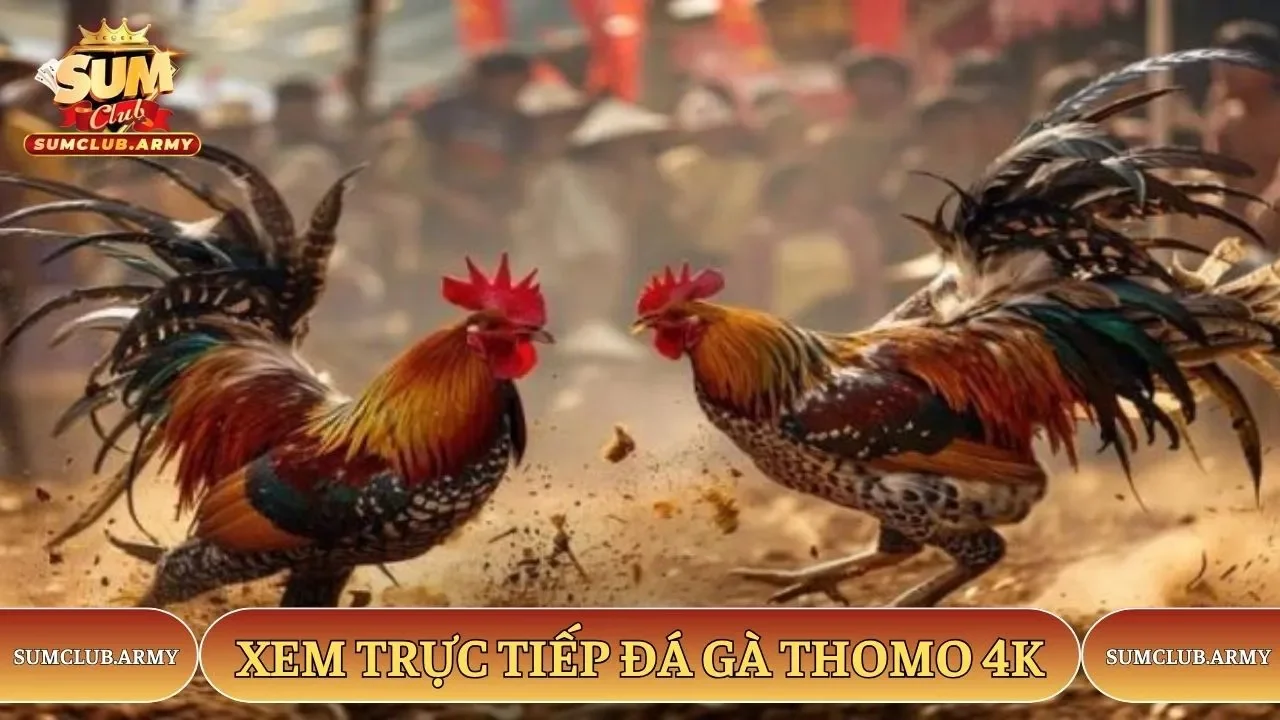 Xem trực tiếp sắc nét 4K tại Sumclub